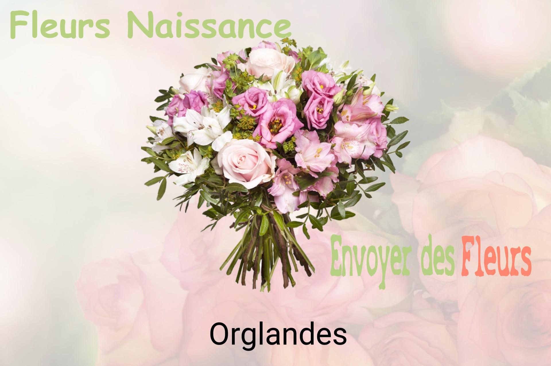 Bouquet de fleurs de naissance livré à Orglandes