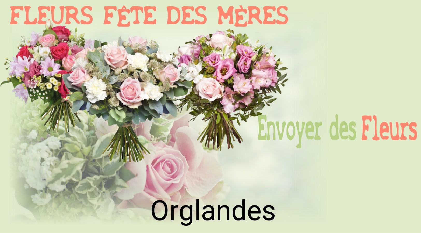 Bouquet de Fête des Mères livré à Orglandes